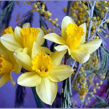 Cross stitch pattern: #598360
