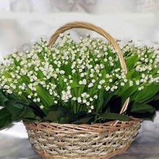 Cross stitch pattern: #598423