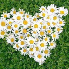Cross stitch pattern: #598438