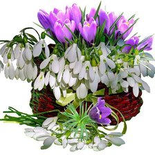 Cross stitch pattern: #598439