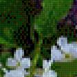Preview of cross stitch pattern: #598787