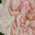 Preview of cross stitch pattern: #598791