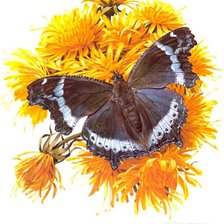 Cross stitch pattern: #598910