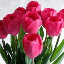 Cross stitch pattern: #599008