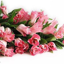 Cross stitch pattern: #599012
