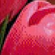 Preview of cross stitch pattern: #599015