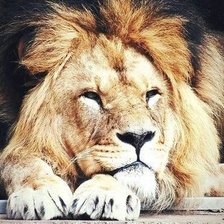 Cross stitch pattern: #599464