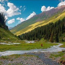 Cross stitch pattern: #599470