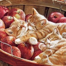 Cross stitch pattern: #600278
