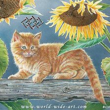 Cross stitch pattern: #600516
