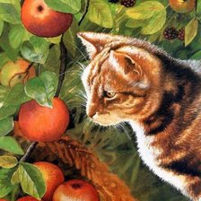 Cross stitch pattern: #600999