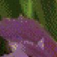 Preview of cross stitch pattern: #601283