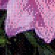 Preview of cross stitch pattern: #601455