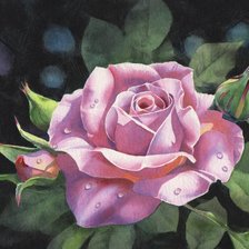 Cross stitch pattern: #601578