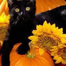 Cross stitch pattern: #601691