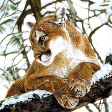 Cross stitch pattern: #601729