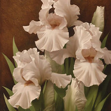 Cross stitch pattern: #602363