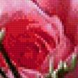 Preview of cross stitch pattern: #602368
