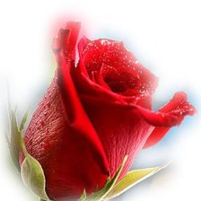 Cross stitch pattern: #602372