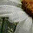 Preview of cross stitch pattern: #602377