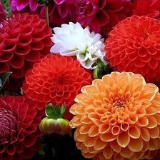 Cross stitch pattern: #602379