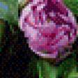 Preview of cross stitch pattern: #602390