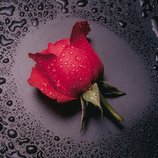 Cross stitch pattern: #602405