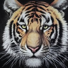 Cross stitch pattern: #602957
