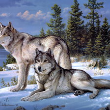 Cross stitch pattern: #603206