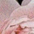 Preview of cross stitch pattern: #604132