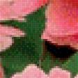 Preview of cross stitch pattern: #604134