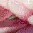 Preview of cross stitch pattern: #604216