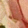 Preview of cross stitch pattern: #604303