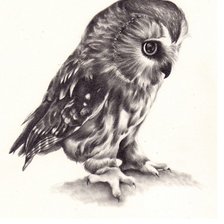 Cross stitch pattern: #605116