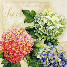 Cross stitch pattern: #605417