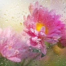 Cross stitch pattern: #606107