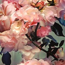 Cross stitch pattern: #606113