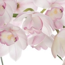 Cross stitch pattern: #606118