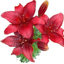 Cross stitch pattern: #606789