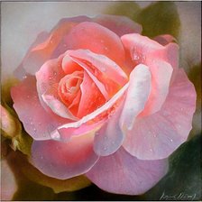 Cross stitch pattern: #606797