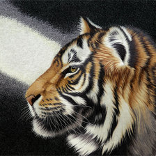 Cross stitch pattern: #606801
