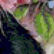 Preview of cross stitch pattern: #606904
