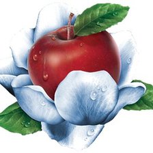 Cross stitch pattern: #607092