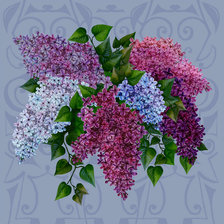 Cross stitch pattern: #607697