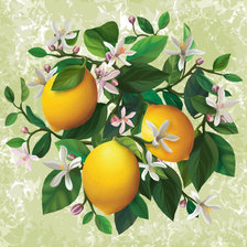Cross stitch pattern: #607698