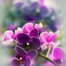 Cross stitch pattern: #607762