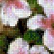 Preview of cross stitch pattern: #608014