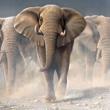 Cross stitch pattern: #608430