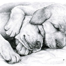 Cross stitch pattern: #609165