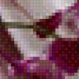 Preview of cross stitch pattern: #609351